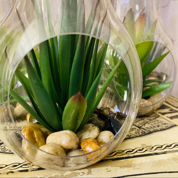 Terrarium Wedding Centerpiece (set of 8) - Picture 3 of 7
